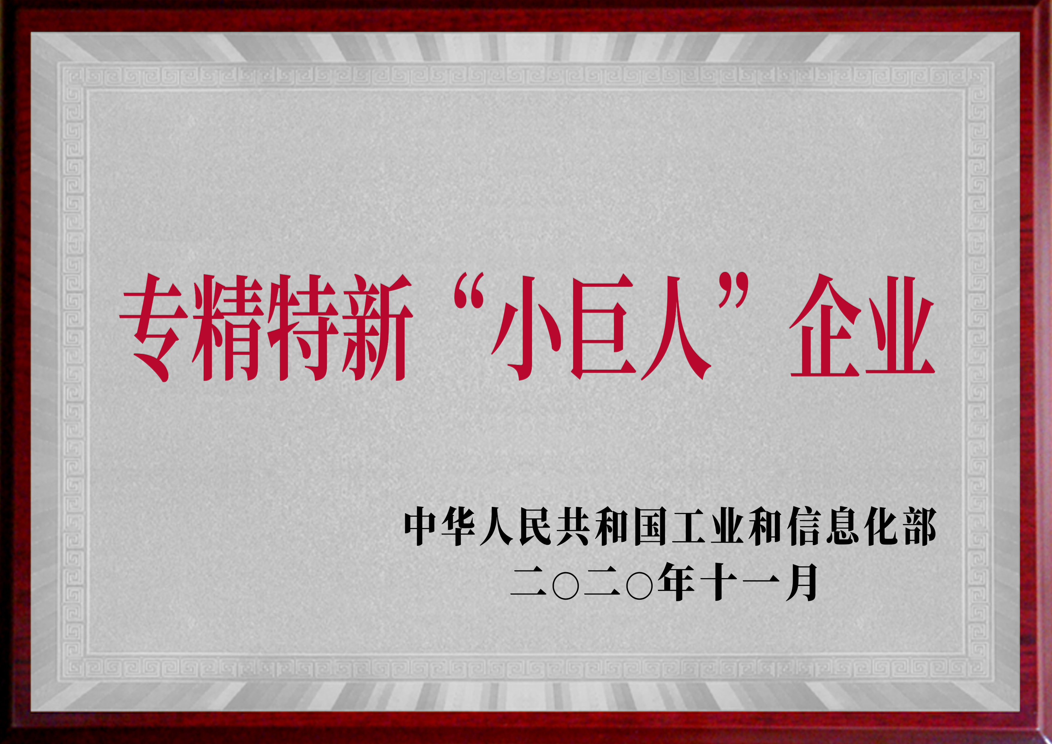 专精特新“小巨人”企业